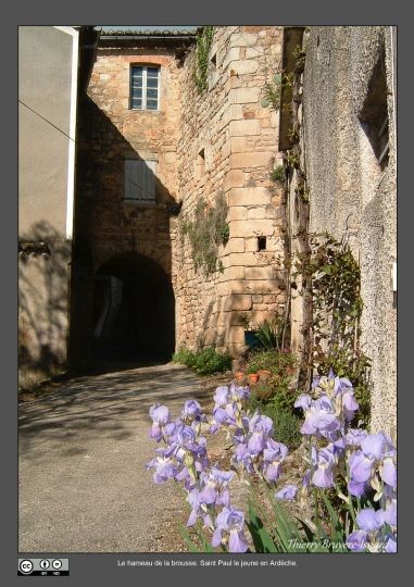 Saint Paul le Jeune en Ardèche méridionale